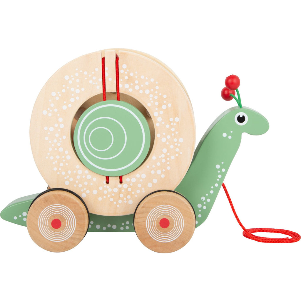 Schnecke 